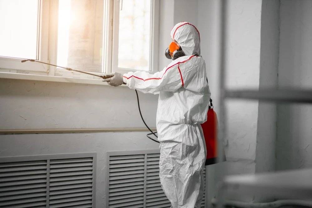 Professional mold remediation services in Windsor, CO